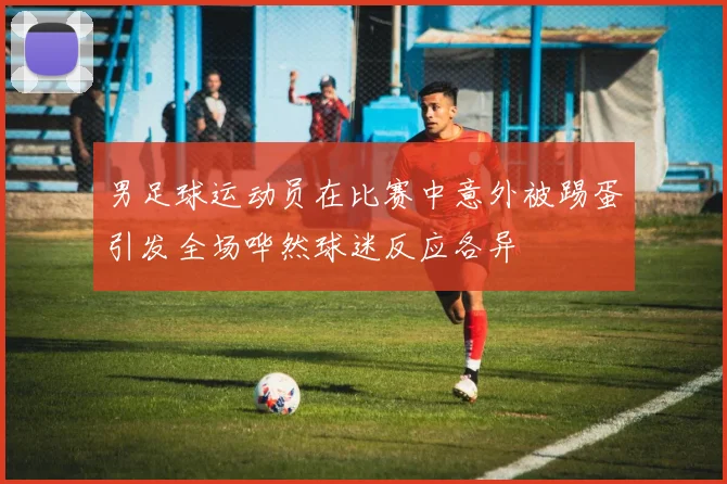 男足球运动员在比赛中意外被踢蛋引发全场哗然球迷反应各异