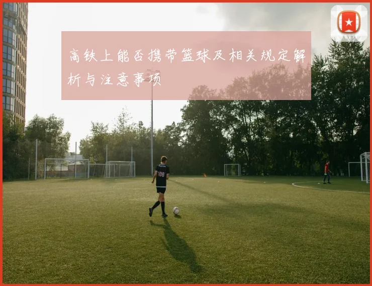 高铁上能否携带篮球及相关规定解析与注意事项