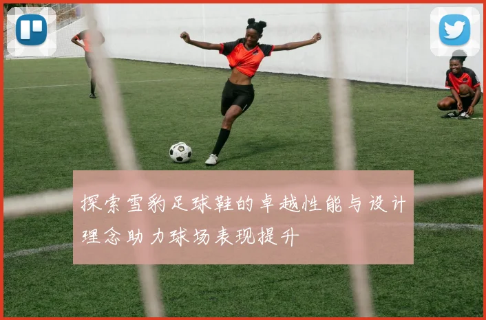 探索雪豹足球鞋的卓越性能与设计理念助力球场表现提升