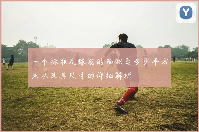 一个标准足球场的面积是多少平方米以及其尺寸的详细解析