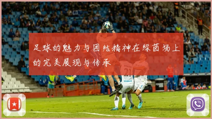 足球的魅力与团结精神在绿茵场上的完美展现与传承